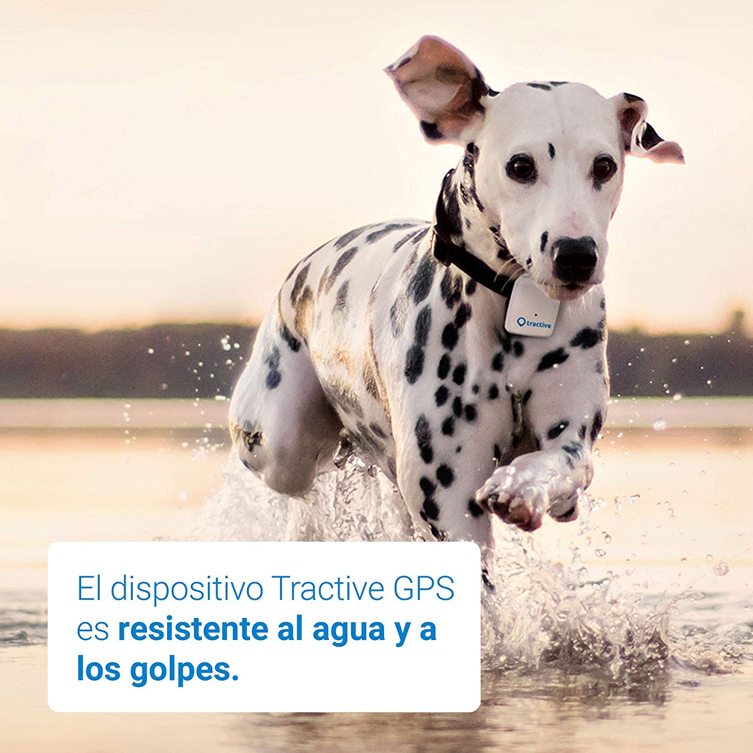 TKMARS GPS Perros, Localizador GPS Perros,Tractive,15 DíAs en